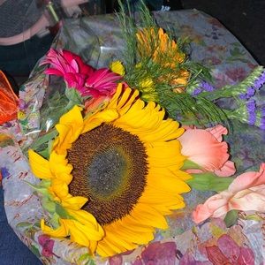 Meet your Posher, Alesia